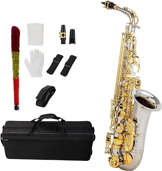 Btuty Eb Alto Saxophone Brass E Flat Sax 802 Key Type Woodwind Instrument with Cleaning Rod Cloth Gloves Strap Padded Case for Standard Student Beginner and Teacher