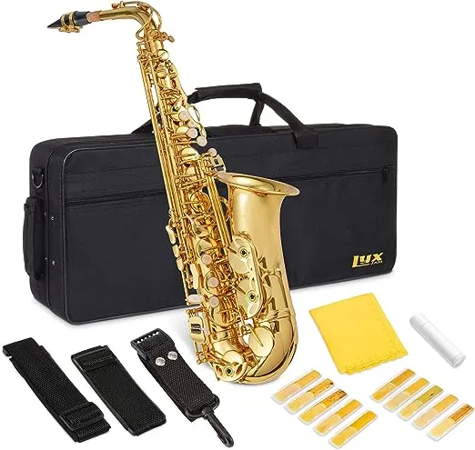 Alto Saxophone E Flat Brass Sax Kit, Professional Sound, Complete Accessories, Ideal for All Players, Includes Hard Case, 10 Extra Reeds, Strap, Gloves, Cleaning Kit & More, Gold Lacquer Finish