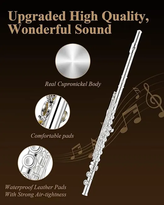 Eastar EFL-1S Closed Hole Flute 16 Keys C Flute for Beginner Student, Flute Instrument with Cleaning Kit, Stand, Case, Gloves, Tuning Rod, Fingering Chart, Silver Plated