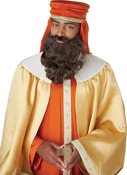 California Costumes Wise Man Brown Wig and Beard Standard