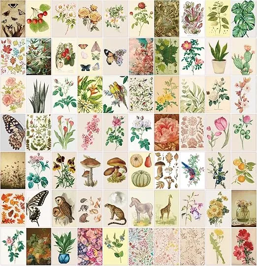 EL NIDO DESIGN 90 PCS Vintage Wall Collage Kit, Plant Vintage Decor for Bedroom Aesthetic, Cottagecore Bedroom decor for teen girls 6x4inch Vintage Style