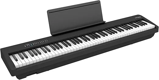 Roland FP-30X 88-Key Digital Piano - Black Bundle with Adjustable Stand, Bench, Sustain Pedal, Online Piano Lessons, Instructional DVD, and Austin Bazaar Polishing Cloth