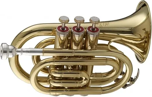 Stagg WS - TR245 Bb Pocket Trumpet with Case 6.00 x 3.00 x 8.00 inches