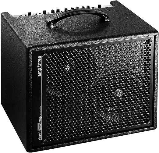 AER Amp-Three 200W Bass 2x8 Combo Amp