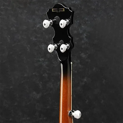 Ibanez B300 5-string Resonator Banjo