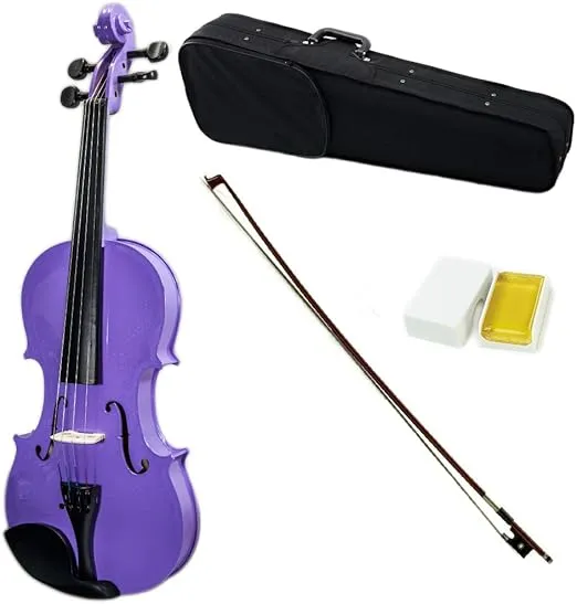 SKY Full Size VN202 Wood Purple Violin Beautiful Color with Brazilwood Bow and Lightweight Case