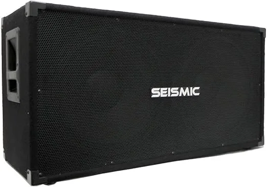 Seismic Audio - 215 Bass Guitar Speaker Cabinet 2x15 PA DJ 600 Watts Dual