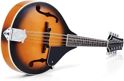 Donner A Style Mandolin Instrument Sunburst Beginner Adult Acoustic Mandolin Musical Instrument Mahogany 8 String, Bundle With Tuner String Bag Guitar Picks,DML-1