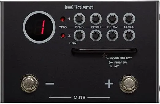 Roland TM-1 Dual Input Trigger Module with WAV Manager Application (TM-1)