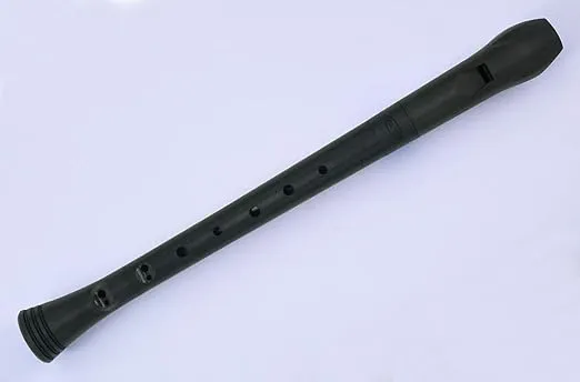 Recorder Black with Transvinyl Case (6)